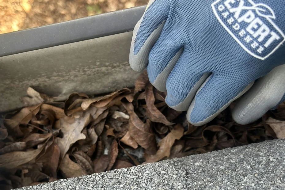 Gutter Cleaning Mansfield TX