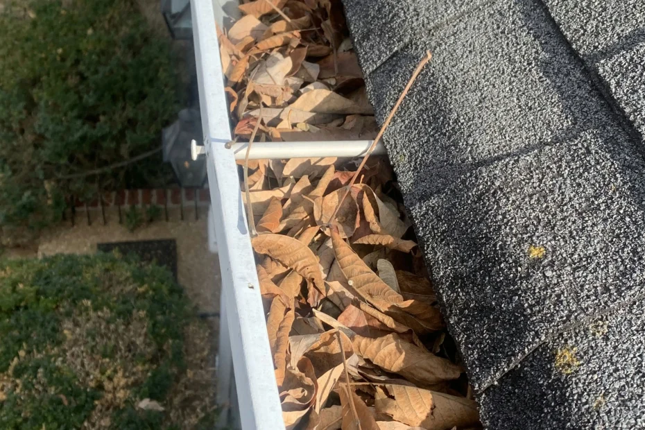 Gutter Cleaning Mansfield TX